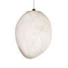 Подвесной светильник Loft IT Fionora 10531A