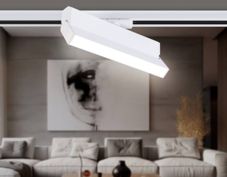 Трековый однофазный светильник Ambrella Light Track System GL6806