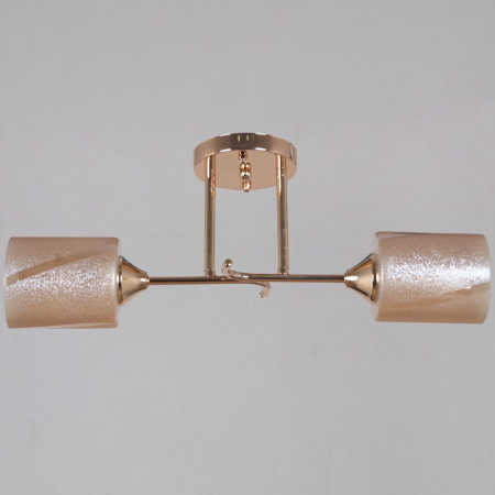 Потолочный светильник Reluce 51460-0.3-02 FG