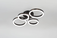 Потолочный светильник Rivoli Flora 6191-201