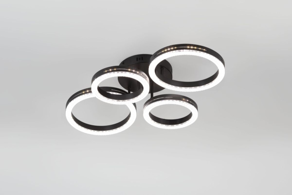 Потолочный светильник Rivoli Flora 6191-201