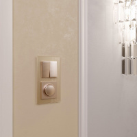 Выключатель  двухклавишный  шампань WL11-SW-2G Werkel