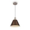 Подвесной светильник Freya Accent FR5276PL-01N