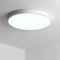 Потолочный светильник Zortes Tortty ZRS.02564.120