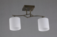 Накладной светильник Pisticci OML-55317-02