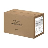 Настенный светильник Freya Mio FR5462WL-L13W