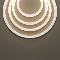 Гибкий неон Maytoni Led strip 24В 12Вт/м 3000K 5м IP67 432022