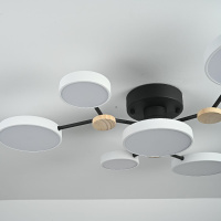 Люстра на штанге ImperiumLoft Gamma 223761-23