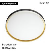 Настенно-потолочный светильник Sonex Savi 7619/DL