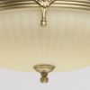Потолочный светильник MW-Light Афродита 317011504