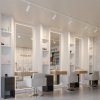 Трековый трехфазный светильник Novotech Port Nail 359585