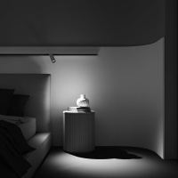 Трековый магнитный светильник Maytoni Technical Magnetic track system Exility Focus LED TR032-2-12W4K-M-BW