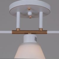 Потолочная люстра Reluce 07594-0.3-03 WG