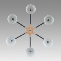 Люстра на штанге Lumion Colange 8096/6C