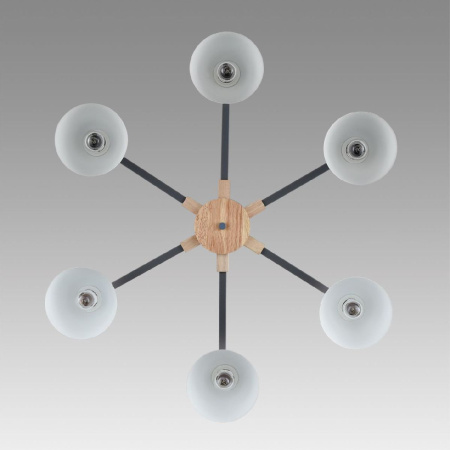 Люстра на штанге Lumion Colange 8096/6C