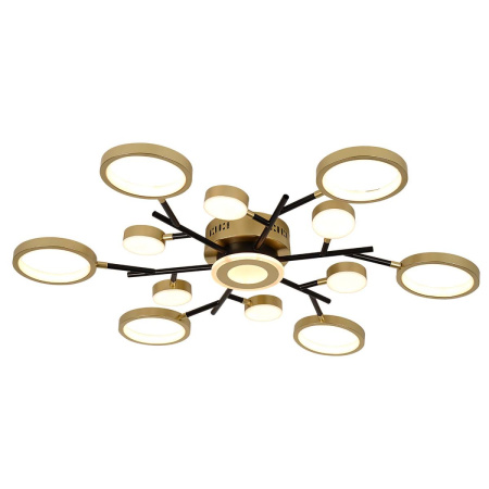 Потолочный светильник F-Promo Hybrid 4686-13C