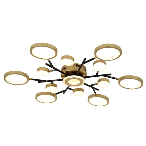 Потолочный светильник F-Promo Hybrid 4686-13C