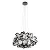 Подвесной светильник Loft IT Clizia 10231/530 Black