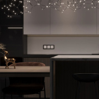 Сенсорный выключатель двухклавишный с подсветкой Werkel 4690389198021 W4522001 a063598