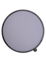 Потолочный светильник Zortes Gimpel ZRS.1209.16