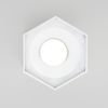 Накладной светодиодный светильник Elektrostandard 25037/LED 4690389176500