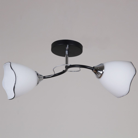 Потолочный светильник Reluce 79360-0.3-02 BK+CR