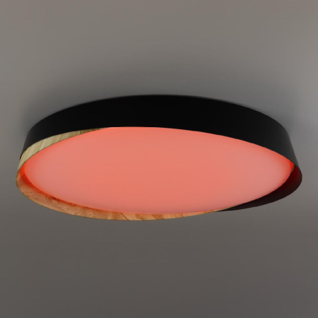 Потолочный светильник Citilux Bonny CL754451G