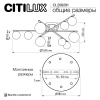 Потолочная люстра Citilux Glob CL209291