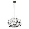 Подвесной светильник Loft IT Clizia 10595/530 Black