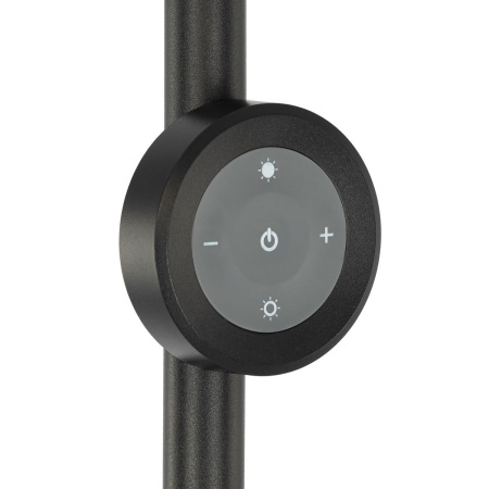 Торшер Citilux Loong CL810031