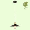 Подвесной светильник Lussole Loft New york GRLSP-9601