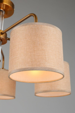 Люстра на штанге Omnilux Barumini OML-56907-05