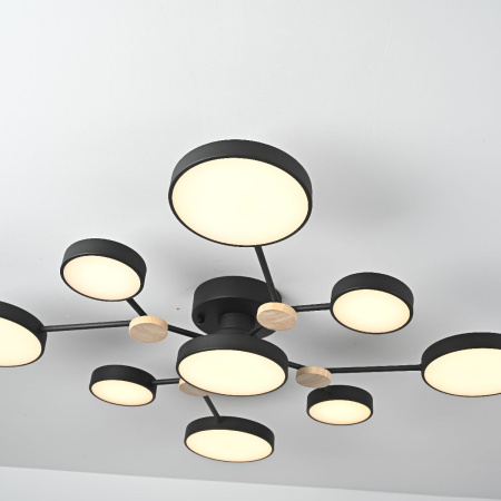 Люстра на штанге ImperiumLoft Gamma 223769-23