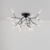 Потолочный светильник Freya Iris FR5067CL-27B