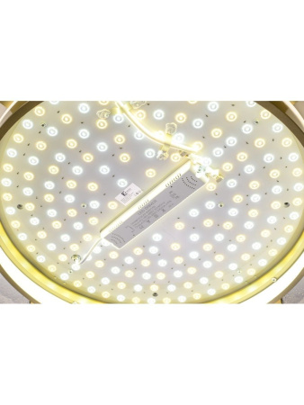 Потолочный светильник Zortes Gerda ZRS.1097.60