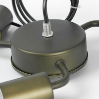 Потолочная люстра Lussole Fremont LSP-8814