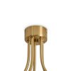Потолочная люстра Freya Caramel FR5522PL-05BS