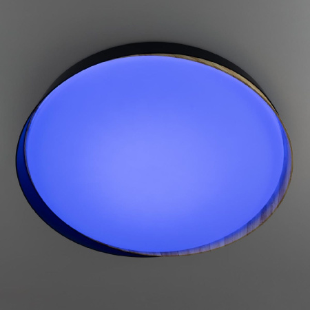 Потолочный светильник Citilux Bonny CL754451G