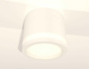 Комплект накладного светильника Ambrella light Techno Spot XS (C8110, N8412) XS8110003