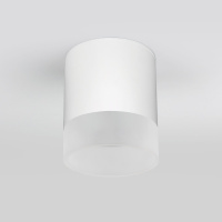 Уличный светодиодный светильник Elektrostandard Light Led 35140/H белый