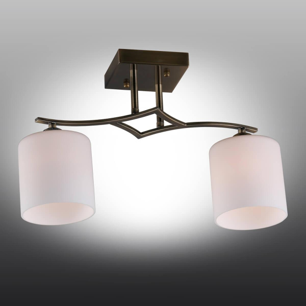 Накладной светильник Pisticci OML-55317-02