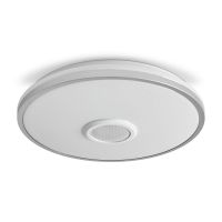 Потолочный светильник Freya Rond FR6226CL-L36W