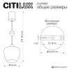 Подвесной светильник Citilux Nort CL475021