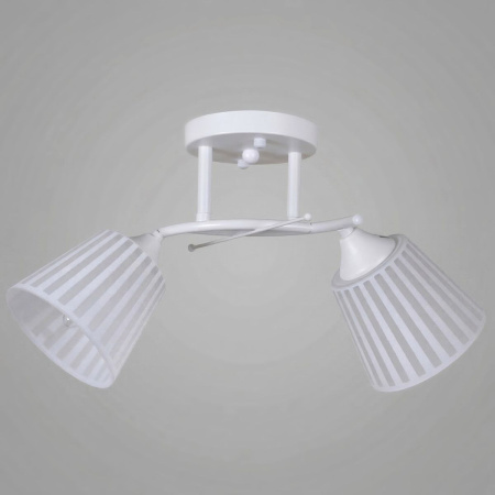 Потолочный светильник Reluce 82460-0.3-02 WH