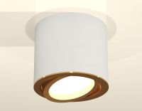 Накладной поворотный светильник Ambrella Light Techno XS7401004 (C7401, N7004)