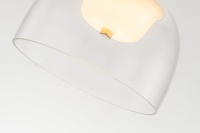 Подвесной светодиодный светильник Arti Lampadari Narbolia L 1.P5 CL