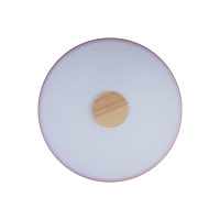 Потолочный светодиодный светильник Loft IT Axel 10003/24 pink