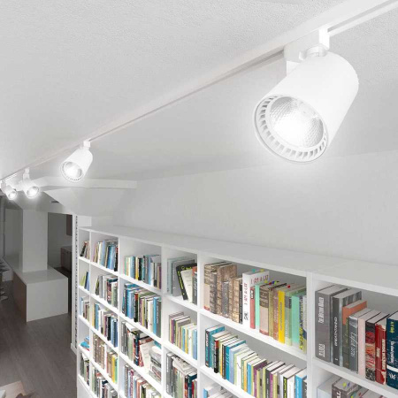 Трековый светодиодный светильник Feron AL100 29509