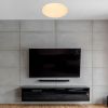 Потолочный светильник Escada 10213/SG LED