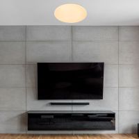 Потолочный светильник Escada 10213/SG LED